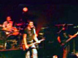 Video Cartonero - Clip 2008