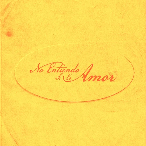 El Zar - NO ENTIENDO SI ES AMOR - SINGLE