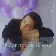 Not Andy - PAJARITOS EN EL AIRE - SINGLE