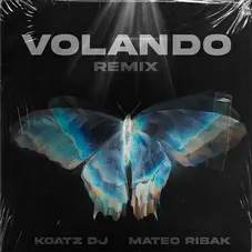 Mateo Ribak - VOLANDO - REMIX - SINGLE